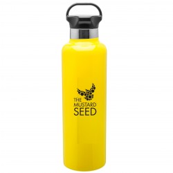 25 oz double wall Water Bottle